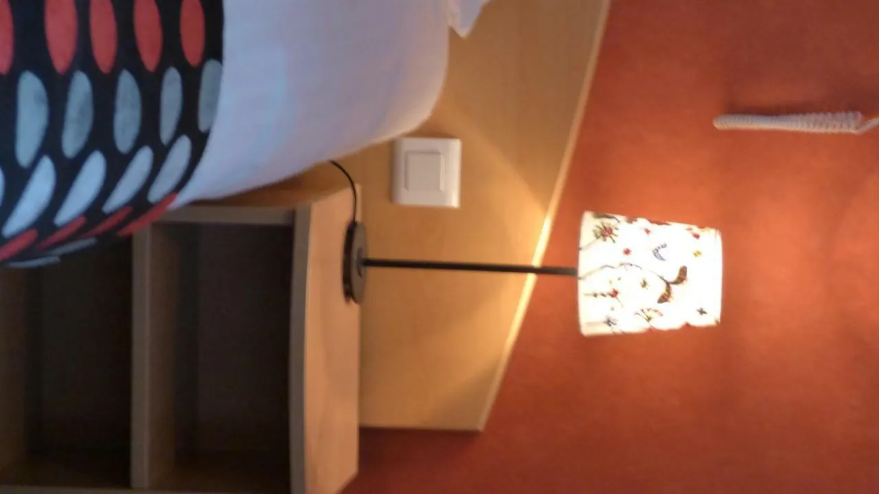 Hotel Cit'Hotel de La Vallée Lourdes